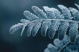 Nature of Intricate Patterns on FrostCovered Fern Leaf Background photo
