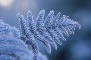 Nature of Intricate Patterns on FrostCovered Fern Leaf Background photo