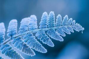 Nature of Intricate Patterns on FrostCovered Fern Leaf Background photo