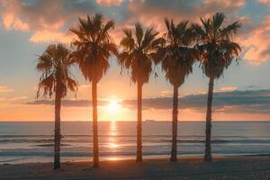 palm fringed beach at sunrise with the first light casting golden glow over the sand and waves background photo