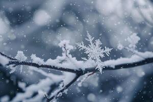 Dynamic nature of intricate snowflakes with background of frozen branches capturing the beauty of winter photo