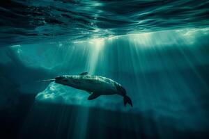 Intriguing Narwhal swimming gracefully beneath translucent iceberg with sun ray background Arctic waters serene underwater environment photo