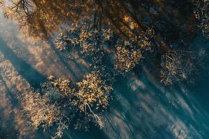 Sunlight casting intricate patterns on the surface of calm reflective pond with nature background photo