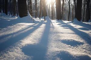 Patterns of light and shadows on snowy forest floor with sunlight filtering through snow laden branches background photo