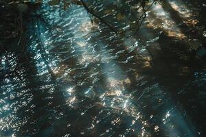 nature background Patterns of Light and Shade on Forest Stream with Sunlight Filtering Through Overhanging Branches photo