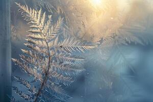 Patterns of Frost on Window Resembling Delicate Fern Leaf nature background photo