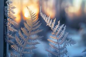 Patterns of Frost on Window Resembling Delicate Fern Leaf nature background photo