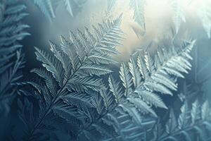 Patterns of Frost on Window Resembling Delicate Fern Leaf nature background photo