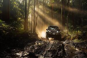 Adventure Off Road Truck Navigating Muddy Trail in Dense Forest with Sunlight Filtering Through Trees   nature background photo