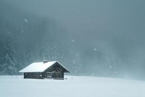 Snowstorm Enveloping Lone Cabin in Snowy nature background nature background photo