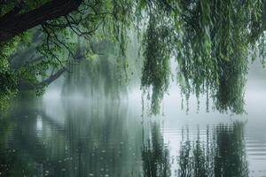 A peaceful riverside with willow trees their long leaves dipping into the water nature background photo