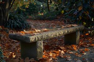 Peaceful garden with stone bench surrounded by fallen leaves nature background photo