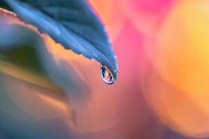 Nature of water droplet hanging from the edge of leaf refracting the surrounding garden in miniature with nature background photo