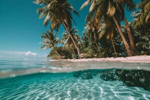 Wanderlust palm fringed beach with crystal clear water and vibrant coral reefs visible beneath the surface nature background photo