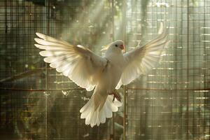Animal Rescue Hopeful rescued bird spreading its wings in flight aviary feathers catching the sunlight in breathtaking display of freedom nature background photo