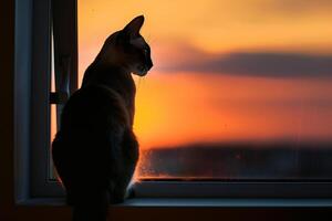 Graceful Siamese Cat Perched Elegantly on Window Sill Silhouette Against Sunset Sky with  Breeze Ruffling Its Fur Background photo