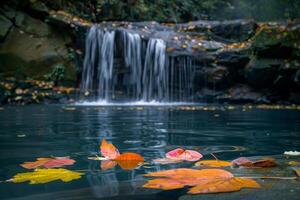 Waterfall nature background Thoughtful Contemplative  with Colorful Autumn Leaves Floating on the Surface of Pool photo