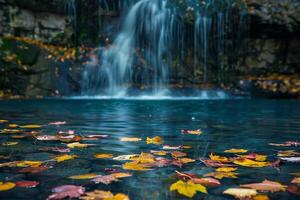 Waterfall Background Thoughtful Contemplative  with Colorful Autumn Leaves Floating on the Surface of Pool photo