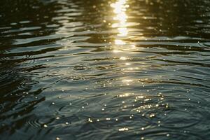 Seascape Sunlight Casting Intricate Patterns on the Rippling Surface of Lake nature background photo