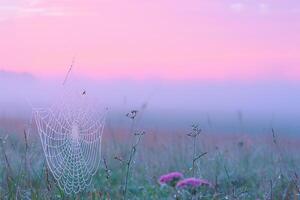 Landscape Ethereal foggy meadow at dawn with spider webs glistening with dew and pastel colors in the sky   nature background photo