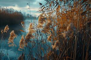 nature background Serene Riverbank with Reeds and Leaves Swaying in the Breeze photo