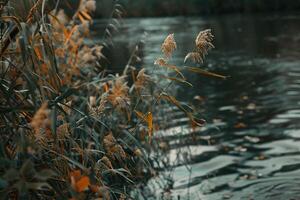 nature background Serene Riverbank with Reeds and Leaves Swaying in the Breeze photo