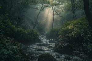 Misty Forest with a Flowing Stream and Sunlight Breaking Through the Canopy Background Nature photo