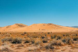 Serene Desert Landscape with Towering Sand Dunes and Sparse Vegetation Under Clear Blue Sky   nature background photo