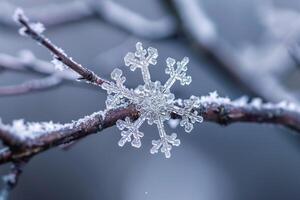 Delicate Snowflake on Tree Branch Highlighting Intricate Crystalline Patterns nature background photo
