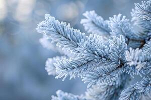 Enchanting Nature of Frost Covered Pine Needles Showcasing Delicate Ice Crystals in Intricate Patterns nature background photo