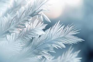 Intricate Frost Patterns on Winter Window Reflecting Natures Delicate Feathers photo