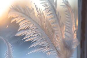 Frost Patterns on Winter Window with Delicate Feather Like Designs photo