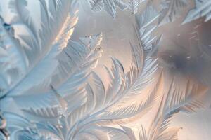 Enchanting Nature of Frost Patterns on Winter Window Background photo