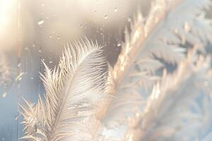 Enchanting Nature of Frost Patterns on Winter Window Background photo