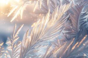 Nature Enchanting Frost Patterns on Winter Window Resembling Delicate Feathers nature background photo