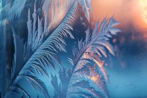 Nature Enchanting Frost Patterns on Winter Window Resembling Delicate Feathers nature background photo