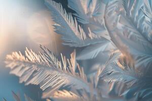 Nature Enchanting Frost Patterns on Winter Window Resembling Delicate Feathers nature background photo