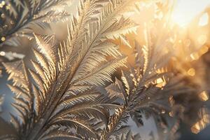 Nature Enchanting Frost Patterns on Winter Window Resembling Delicate Feathers nature background photo