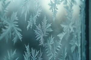 Nature Intricate Frost Patterns on Windowpane Mimicking Delicate Lacework  nature background photo