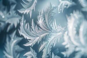 Nature  Frost Patterns on Windowpane with Delicate Lacework Appearance  nature background photo