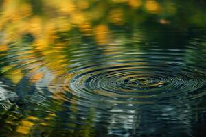 Nature Pond Surface Ripples with Reflections of Tree Patterns  nature background photo