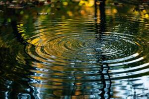 Nature Ripples on Pond Surface Reflecting Tree Patterns  nature background photo