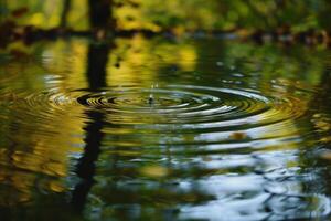 Nature Reflections and Ripples on Pond Surface Highlighting Tree Patterns  nature background photo