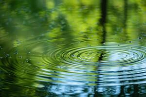 Nature Pond Surface Ripples Reflecting Surrounding Trees  nature background photo