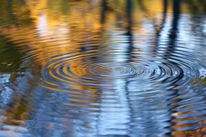 Nature Pond Ripples and Reflections of Trees in Tranquil Setting  nature background photo