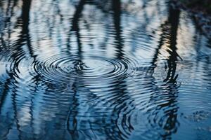 Nature Pond Surface with Reflective Ripples and Tree Patterns  nature background photo