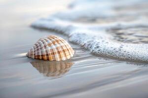 Single seashell resting on smooth wet sand with gentle waves lapping at the shore nature background photo