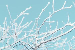 Abstract patterns of snowcovered branches against a clear blue sky with nature background photo