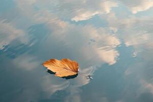 Single leaf drifting on the surface of a pond reflecting the surrounding sky background nature photo