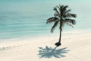 Lone palm tree casting shadow on the pristine white sand beach with turquoise waters background nature photo